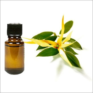 Ylang Ylang Oil