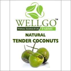 Natural Tender Coconut