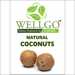Natural Coconut