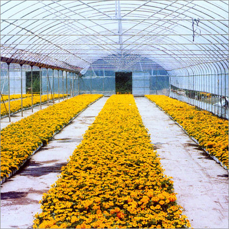 Green House Fabric