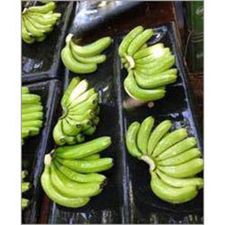 Raw Banana
