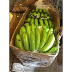 Raw Fresh Banana
