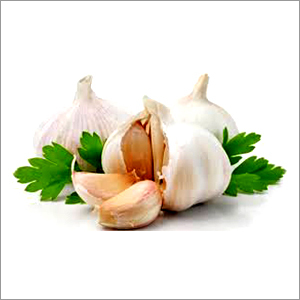 Fresh Garlics