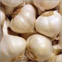 Indian Garlics