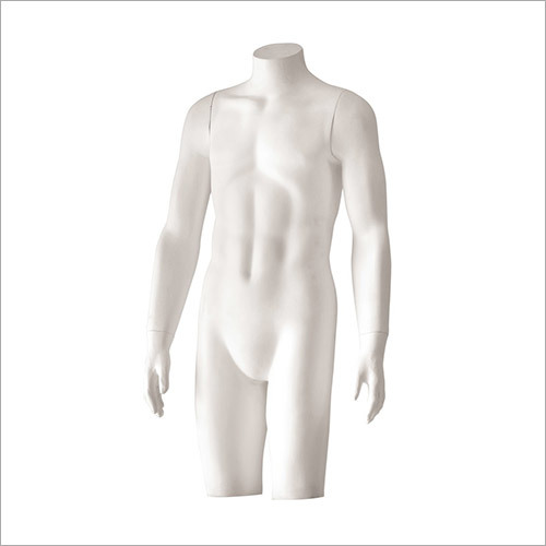 Male Torso