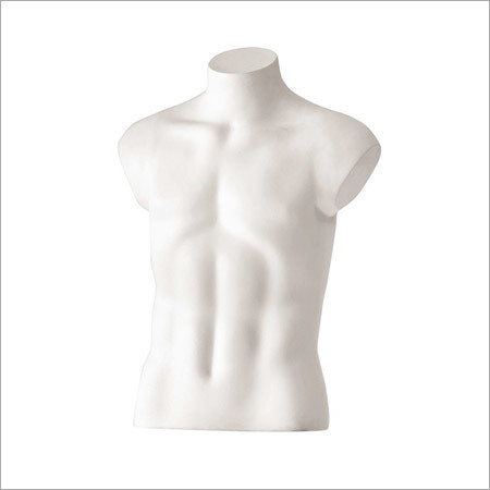 Half Male Torso
