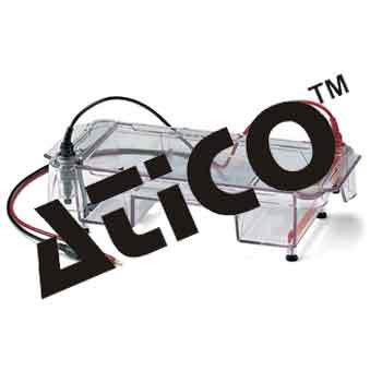 Mini Horizontal Electrophoresis