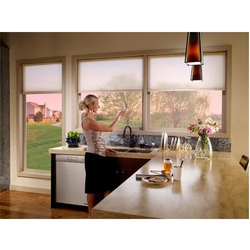 Automated Blinds