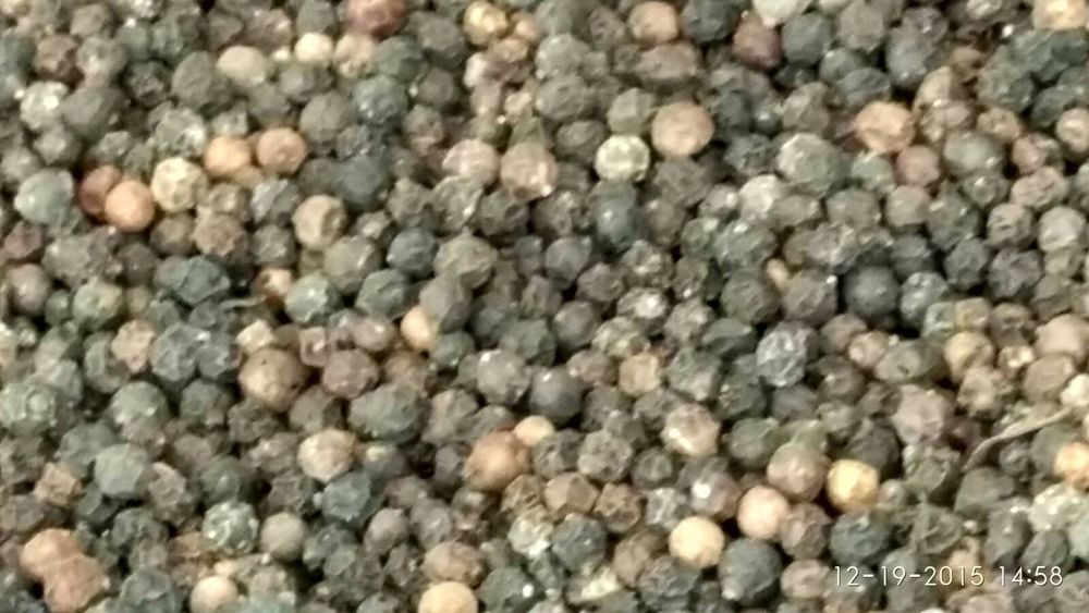 Standard Black Pepper