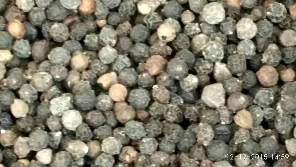 Indian Black Pepper