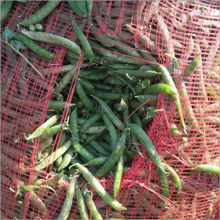 Fresh Green Matar