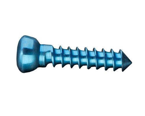 Cortex Screw
