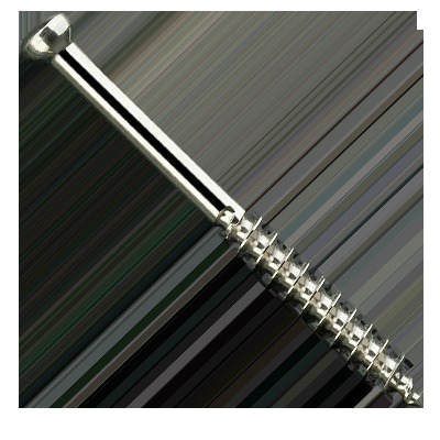 CENCELLOUS SCREW