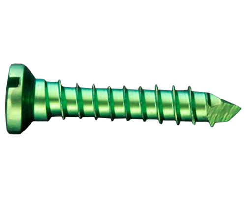 MINI SCREWS CROSS SLOT HEAD WITH SELF CUTTING FLUT