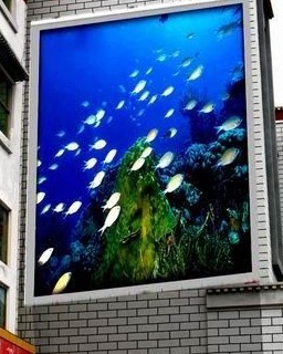 Outdoor LED Display - Customizable Size, 1000 Nits Brightness | IP65 Protection, 160° Viewing Angle, Easy Install