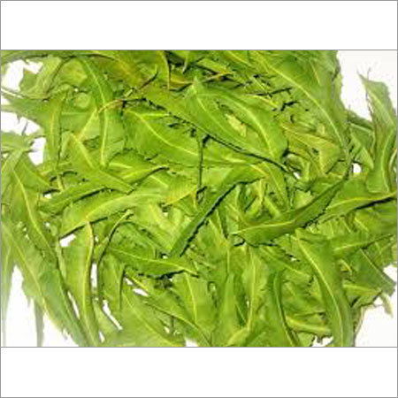 Neem Leaf