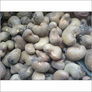 Raw Cashew Nut