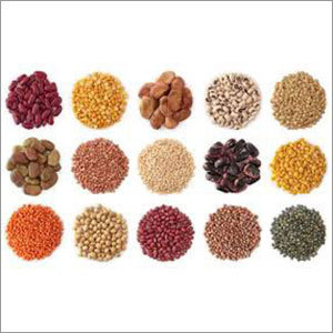 Indian Pulses