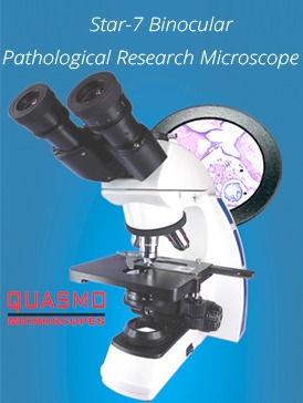 Stereo Zoom Microscope