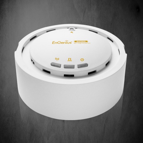 Long-Range Ceiling Mount Wireless N300 Indoor Access Point