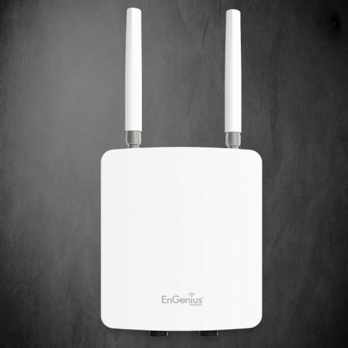 Outdoor Ruggedized Wireless Access Point, N300
