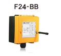 Radio Remote F24-BB