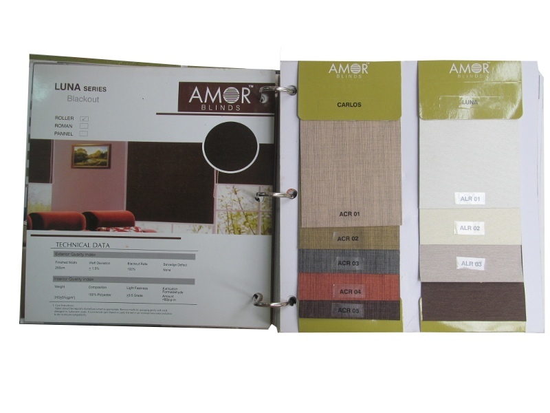 Carlos & Luna Roller Blind Shades