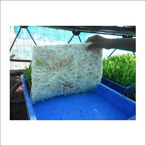 Hydro Fodder Tray