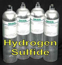 Hydrogen Sulphide