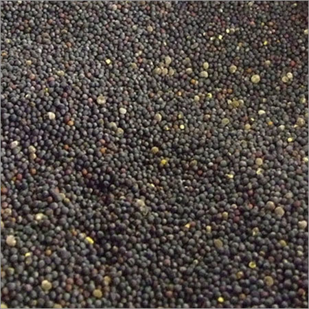 Macro Black- brown Mustard SEED (rape seed)
