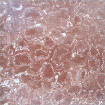 Oman Red Marble