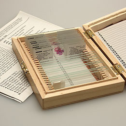 Slide Boxes