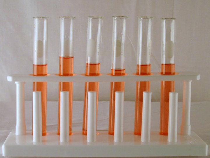 Test Tube Stand - Seasoned Wood, 10 Holes, 10 Pegs | Tongued and Grooved Joints, Nicely Polished