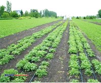 Agricultural Irrigation Systems