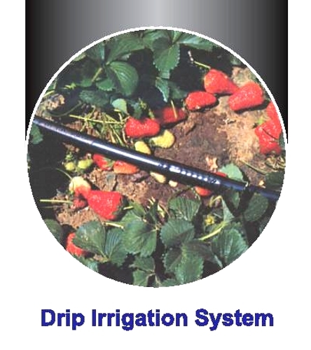 Farm Irrigation System