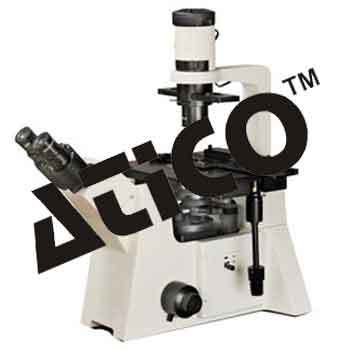 Biological Microscope
