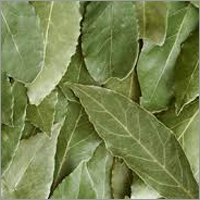 Turkish Bay Leaves