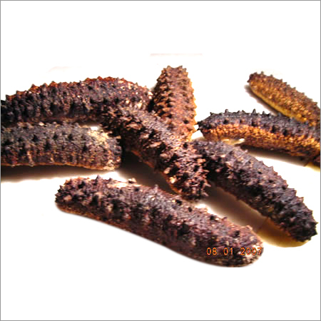 Dried Sea Cucumber