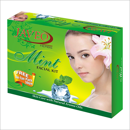 Mint Facial Kit