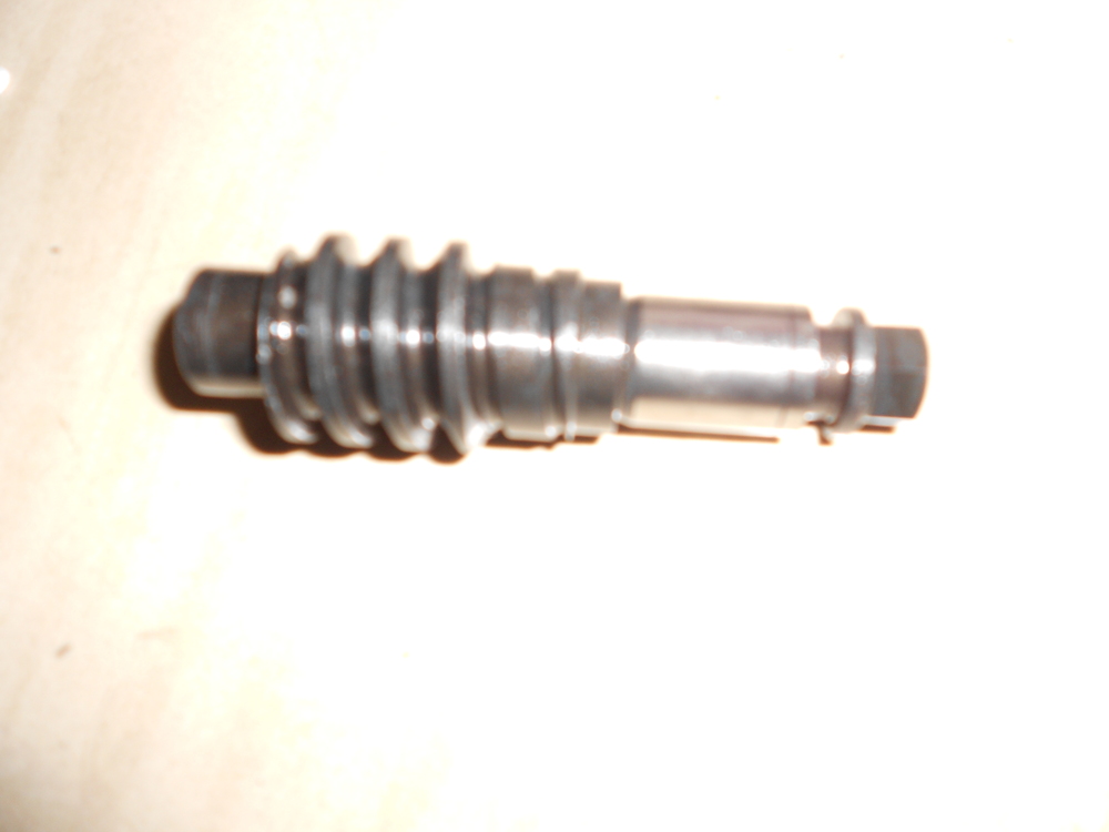 SASA - Worm Shaft