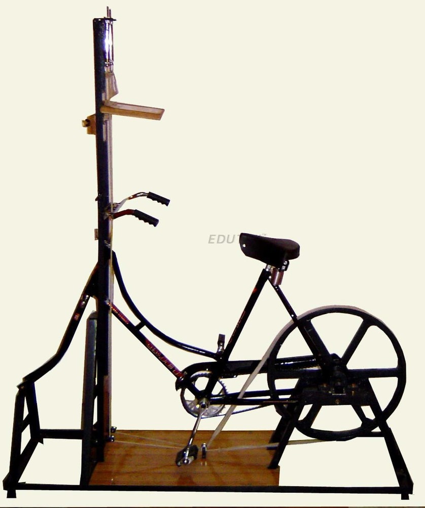 Bicycle Ergograph 