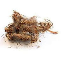 Jatamansi Oil