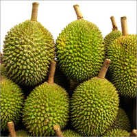 Durian Fruit