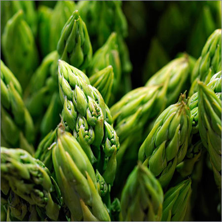 Asparagus Vegetable