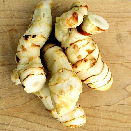 Galangal Vegetable