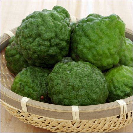 Kaffir Lime