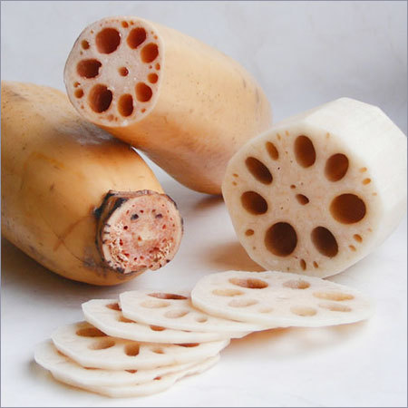 Lotus Root