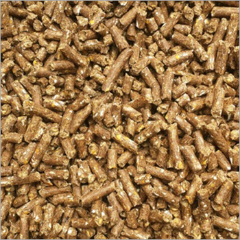 Cattle Feed Pellets