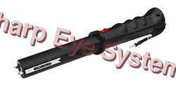 Stun Gun in Torch