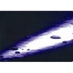 Heat & Oil Resistant Conveyor Belt